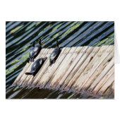 タートルレスト (正面横)