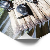 タートルレスト フォトプリント            (角)