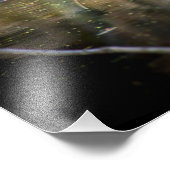 タートルログ フォトプリント            (角)