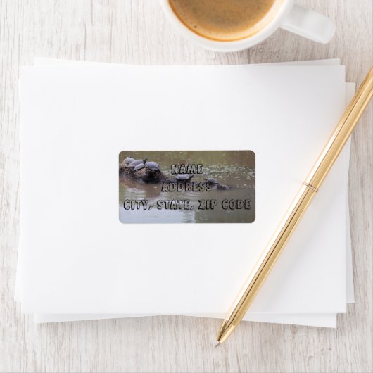 タートル住所 シール (インサイチュ)