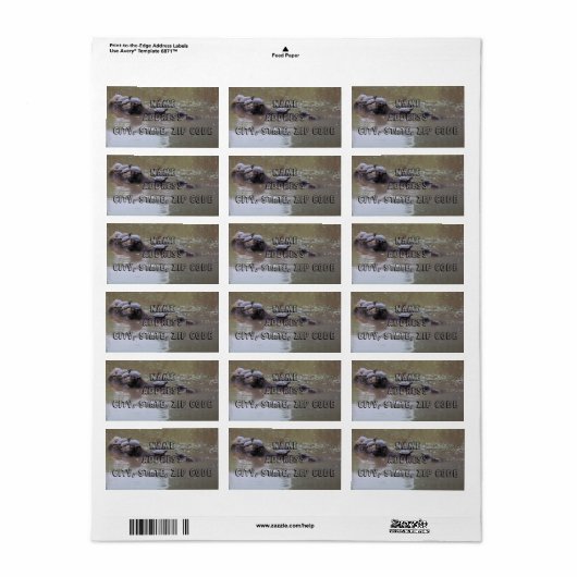 タートル住所 シール (フルシート)