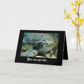 タートル誕生日カード カード (黄色い花)