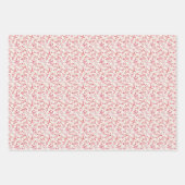 タートル鳩ギフトラップ、フラットシートセット3 ラッピングペーパーシート (正面2)