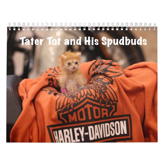 タートート2024カレンダー カレンダー (カバー)