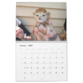 タートート2024カレンダー カレンダー (1月 2027)