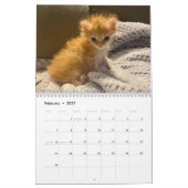 タートート2024カレンダー カレンダー (2月 2027)