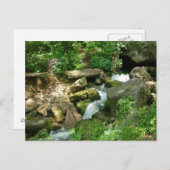 ターナー春 ポストカード (正面/裏面)