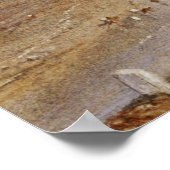 ターナー – メルローズ ポスター (角)