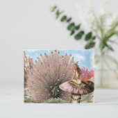 ターニングテール ポストカード (スタンド正面)