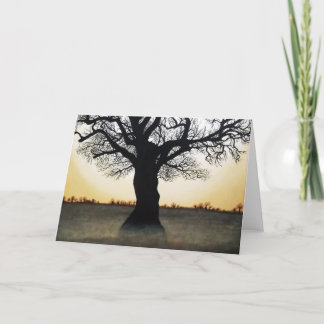 ターニングポイント：冬の至 カード