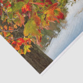 ターニング葉 薄葉紙 (詳細)