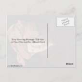 『ターバンを持った男』 ポストカード (裏面)