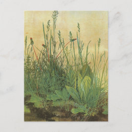 ターフの大きなピース ポストカード