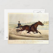 ターフの王セント。ジュリアン ポストカード (正面/裏面)