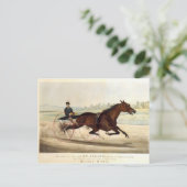 ターフの王セント。ジュリアン ポストカード (スタンド正面)