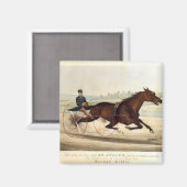 ターフの王セント。ジュリアン マグネット (正面/裏面)