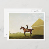 ターフ、1765年頃(キャンバス上に油彩) (参照152743) ポストカード (正面/裏面)