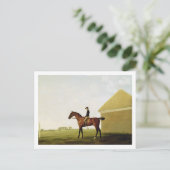 ターフ、1765年頃(キャンバス上に油彩) (参照152743) ポストカード (スタンド正面)