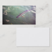 ターポンの魚の名刺 名刺 (正面/裏面)