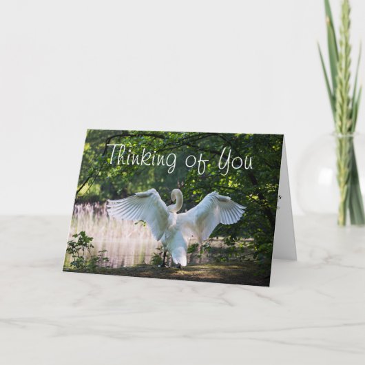 ターミナルカードを持つ人のために カード (正面)