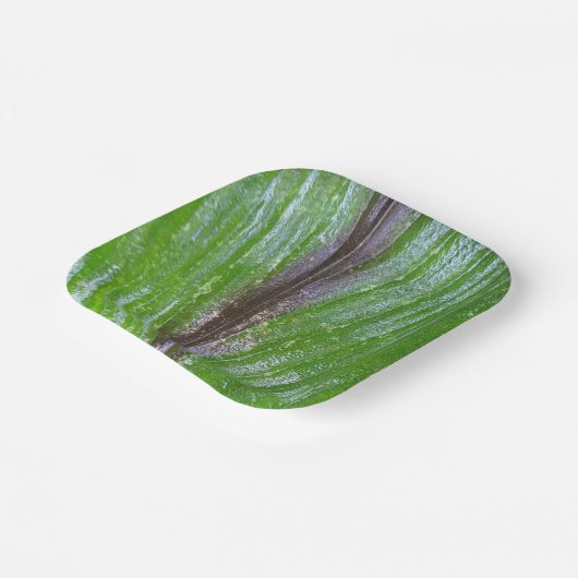 ターメリックグリーンリーフ7インチスクエア紙プレート ペーパープレート (傾斜あり)