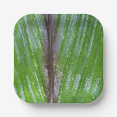 ターメリックグリーンリーフ7インチスクエア紙プレート ペーパープレート (正面)