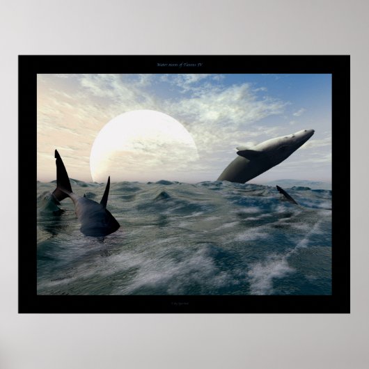 ターラス4世の水月 ポスター (正面)