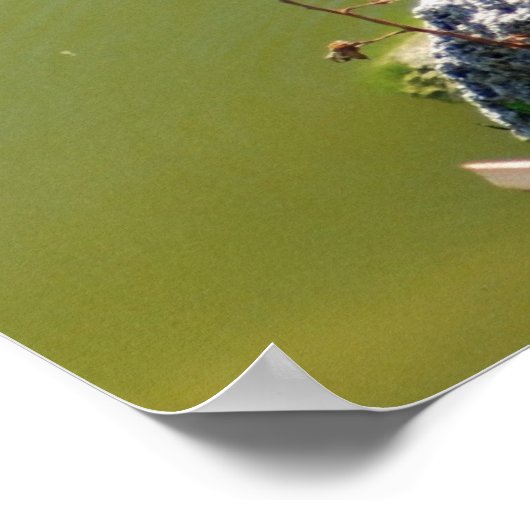 ターラック ポスター (角)