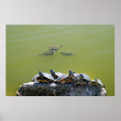 ターラック ポスター (正面)