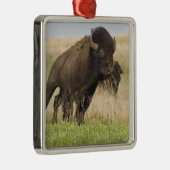 タールグラスで燃えるような若いバイソンブル メタルオーナメント (右)