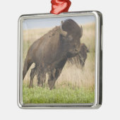 タールグラスで燃えるような若いバイソンブル メタルオーナメント (左)