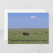 タールグラス草原の国家保存 – カンザス ポストカード (正面/裏面)