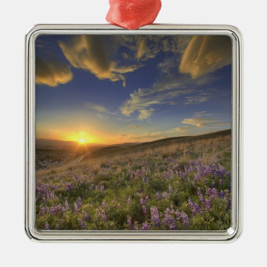 タールート山脈と広大な夕焼け メタルオーナメント (正面)