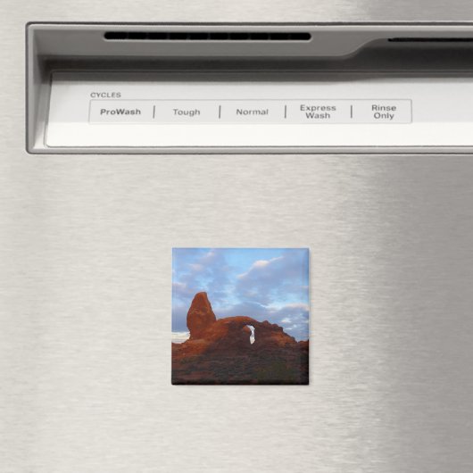 ターレットアーチアットサンライズインアーチズナショナルパーク マグネット (インサイチュ (食洗機))