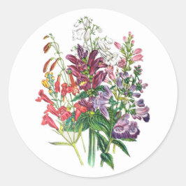 ターレヘッズとヒゲ ラウンドシール