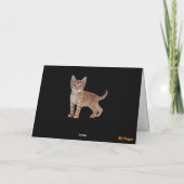 ターンテーブル虎猫折りグリーティングカード カード (裏面)