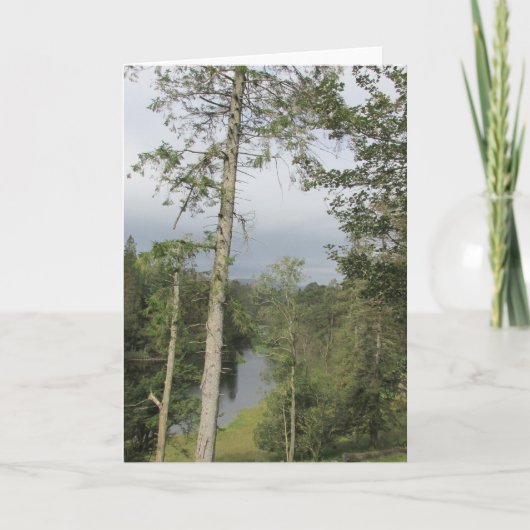 ターンフーズツリーズ カード (正面)