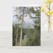 ターンフーズツリーズ カード (黄色い花)