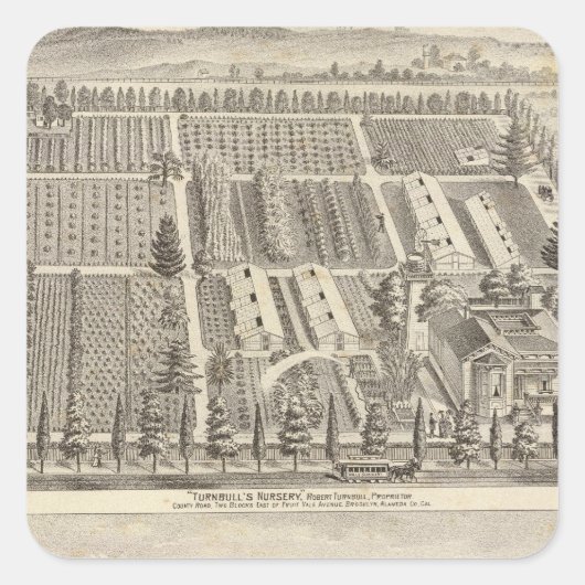 ターンブル子供部屋、フィッチレス スクエアシール (正面)