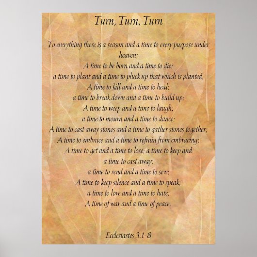 ターン ポスター (正面)