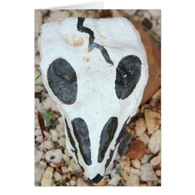 ダイアデルミュエルテスカル (正面)