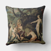 ダイアナおよびCallisto クッション (裏面)