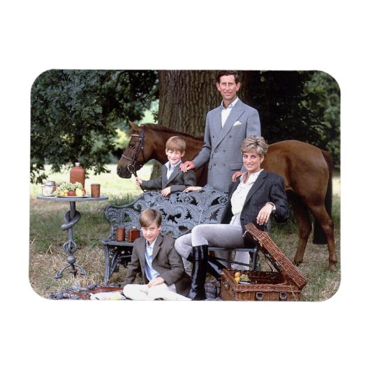 ダイアナチャールズ・ウィリアム・ハリー1992 マグネット (横)