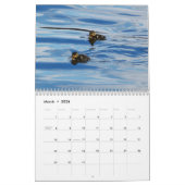 ダイアナCarroll著2008カレンダー カレンダー (3月 2026)