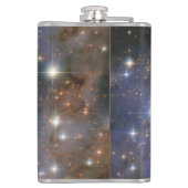 ダイアモンドスターズインカリナネブラハッブル宇宙 フラスク (裏面)