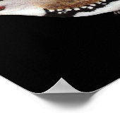 ダイアモンドファイアーテールフィンチ – スタゴノプリーラグッタータ ポスター (角)