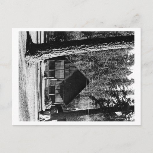 ダイアモンドレイク、オレゴン州キャビンのビュー写真 ポストカード (正面)