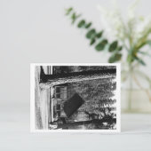 ダイアモンドレイク、オレゴン州キャビンのビュー写真 ポストカード (スタンド正面)