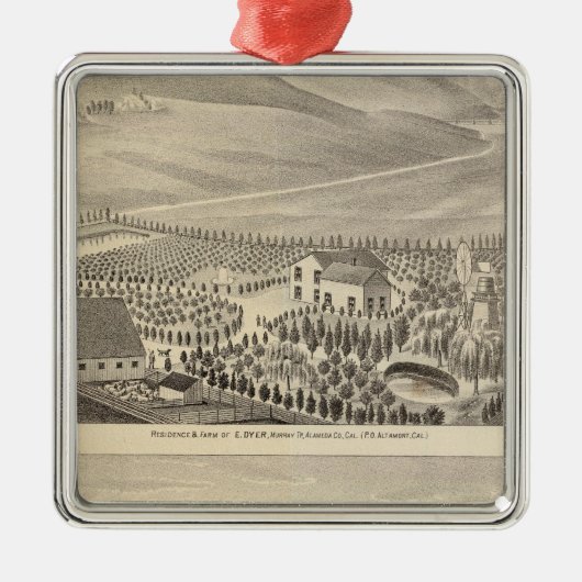 ダイアー、Hupersの特性 メタルオーナメント (正面)