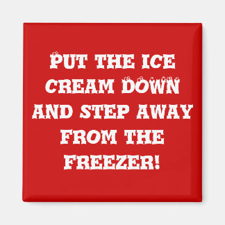 ダイエットヘルパー#2 マグネット